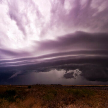 img Impactul ciclonului Dana asupra Indiei: copaci scoși din rădăcini, linii electrice rupte și inundații