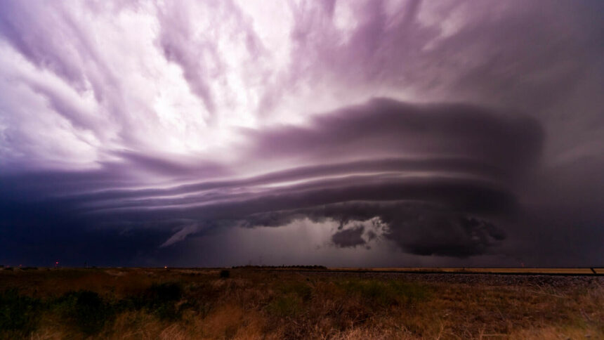 img Impactul ciclonului Dana asupra Indiei: copaci scoși din rădăcini, linii electrice rupte și inundații