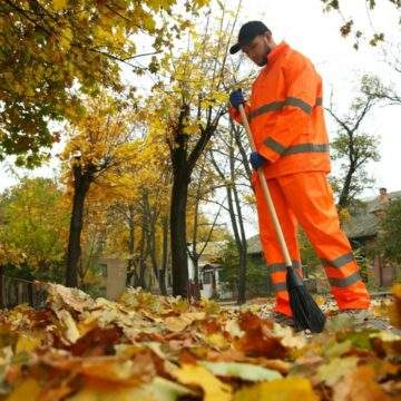 img Munca în folosul comunității – o alternativă la pedeapsa cu închisoarea în România