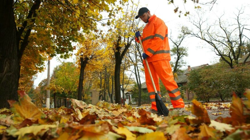 img Munca în folosul comunității – o alternativă la pedeapsa cu închisoarea în România