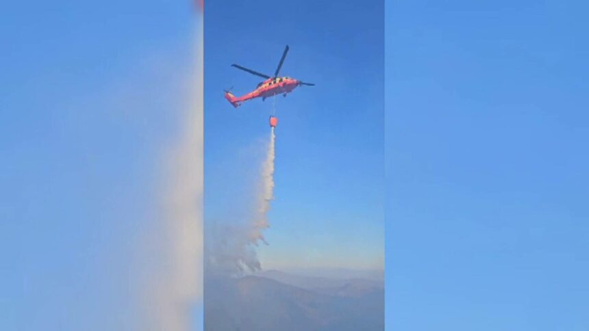 img Incendiu de vegetație violent în județul Brașov