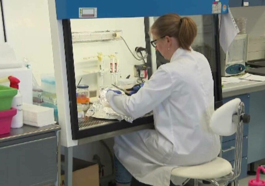 img Impactul antibioticelor luate inutil in cazul unei raceli banale