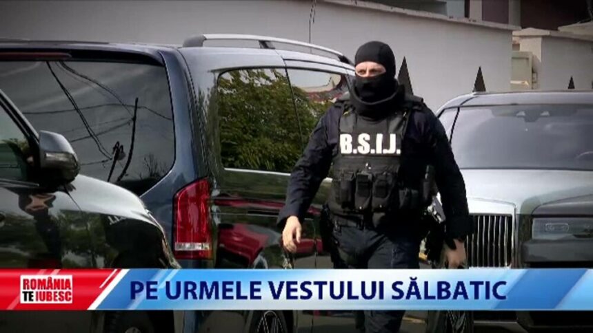 img Fabrica de făcut milioane a clanurilor imobiliare din București