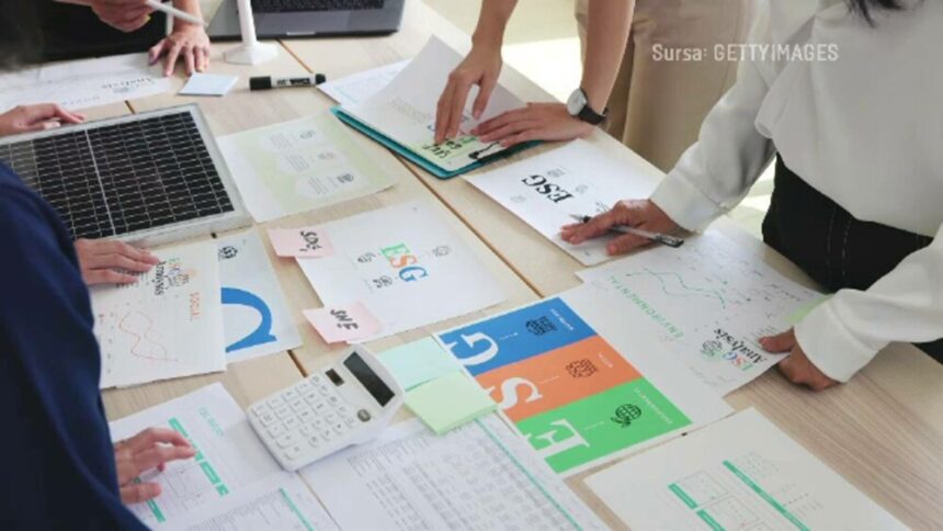 Schimbările climatice creează meserii noi: experti în sustenabilitate cu salarii atractive