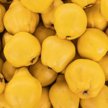 Beneficiile gutuilor pentru sănătate și moduri de consum