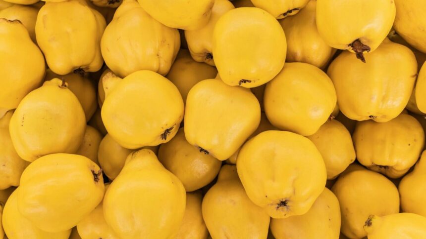 img Beneficiile gutuilor pentru sănătate și moduri de consum