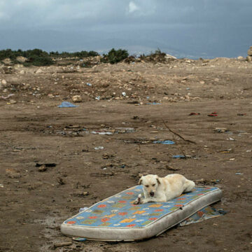 img Comoara ascunsă într-o saltea uzată