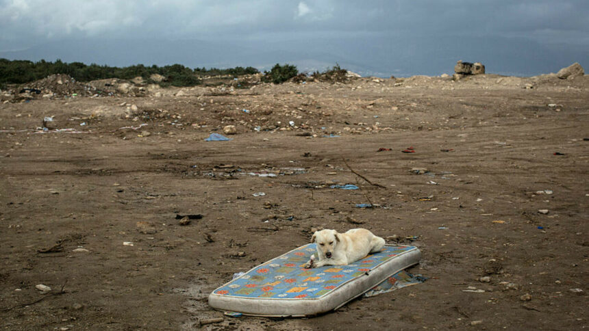 img Comoara ascunsă într-o saltea uzată