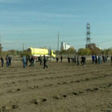 img Plantarea primilor copaci din Centura Verde a Bucureștiului