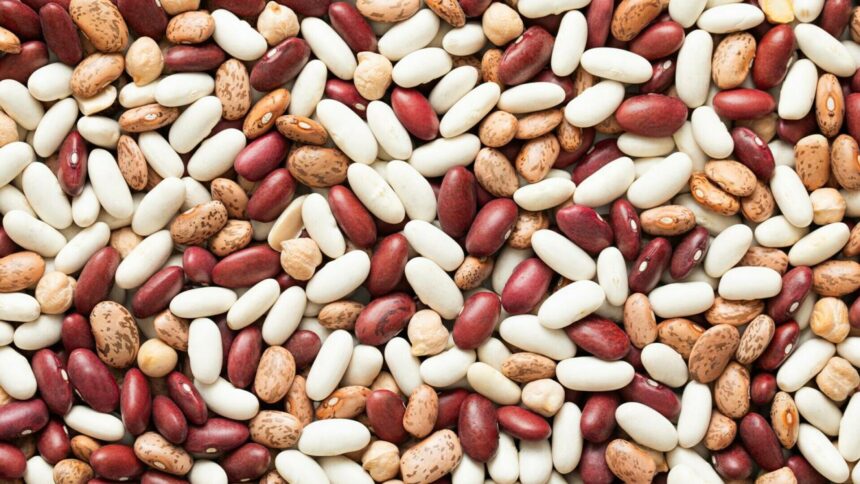 img Beneficiile fasolei boabe pentru sănătate și cine ar trebui să o consume