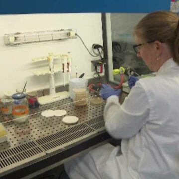 Antibioticul atomic – medicamentul minune inventat de profesorii cehi care ucide cea mai rezistentă bacterie