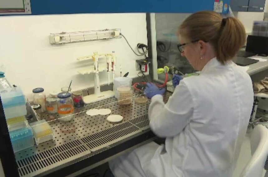 img Antibioticul atomic – medicamentul minune inventat de profesorii cehi care ucide cea mai rezistentă bacterie