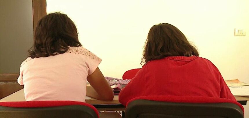 img Creșterea cererii de meditații în rândul elevilor și a numărului de profesori implicați