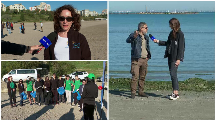 img Plajele murdare și avertismentul biologilor: impactul poluării asupra mediului și a alimentației noastre