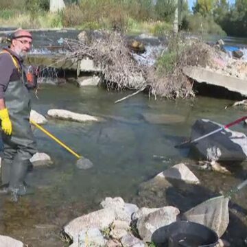 img Descoperiri impresionante într-un râu din România finanțat cu bani europeni