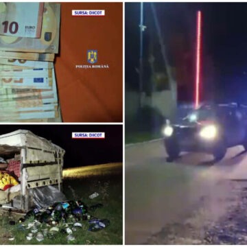 img Sclavie la o stână din Covasna. Drama trăită de șase persoane racolate din gări și exploatate timp de un an