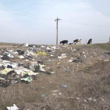 img Ziua de Curățenie Națională – necesitate sau simplă formalitate?