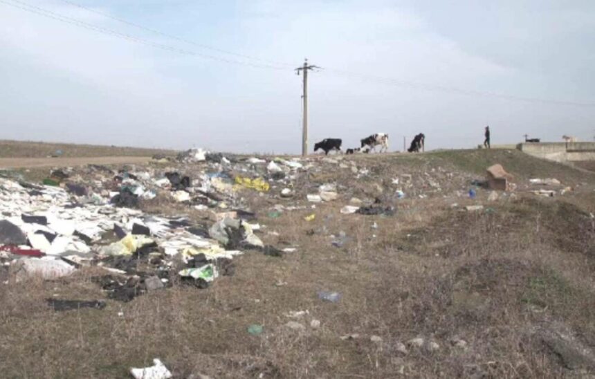 img Ziua de Curățenie Națională – necesitate sau simplă formalitate?