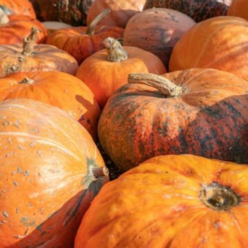 img Beneficiile pentru sănătate ale bostanului și moduri creative de a-l integra în rețete