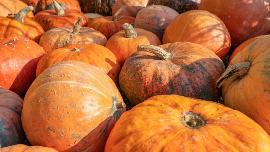 img Beneficiile pentru sănătate ale bostanului și moduri creative de a-l integra în rețete