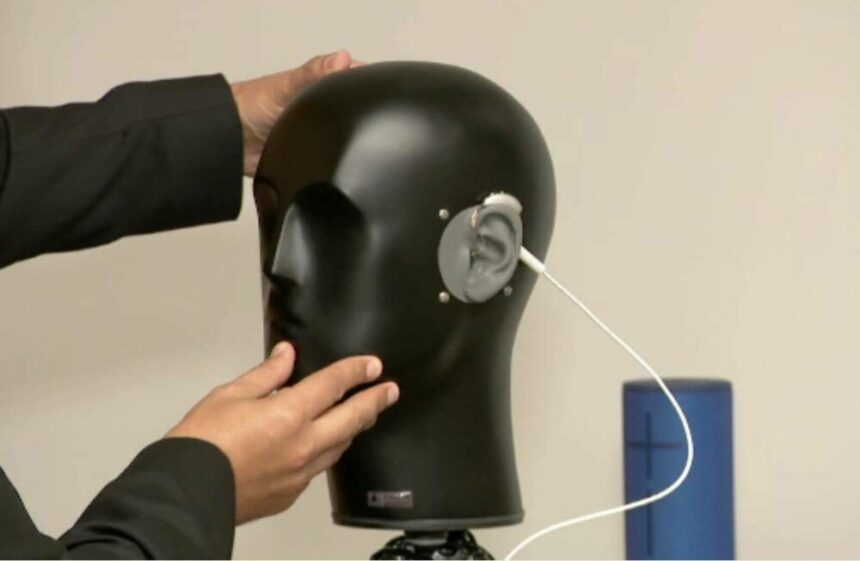 img Impactul poluării fonică asupra sănătății creierului și auzului