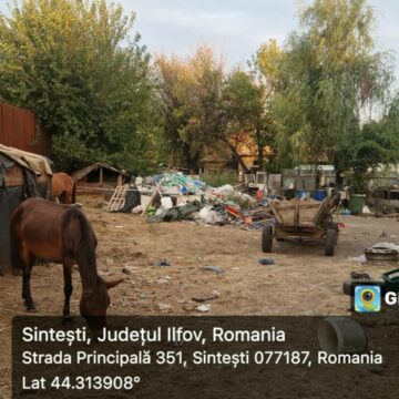 img Premieră istorică: Garda de Mediu face plângere penală împotriva unei comunități întregi