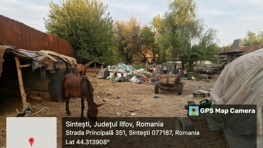 Premieră istorică: Garda de Mediu face plângere penală împotriva unei comunități întregi