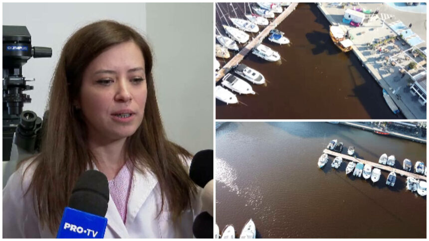 img Alertă în Constanța: Apa mării a devenit ruginie – Avertismentul specialiștilor