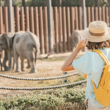 Femeia care a adus acasă un liliac de la zoo