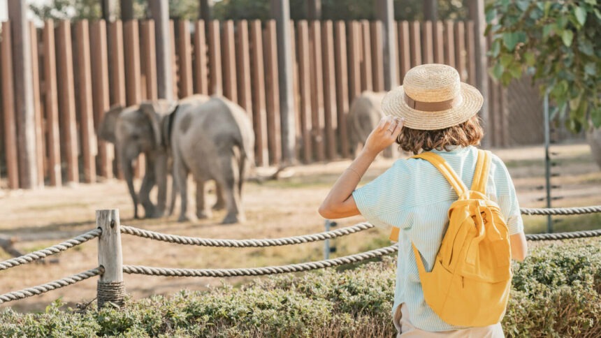 img Femeia care a adus acasă un liliac de la zoo