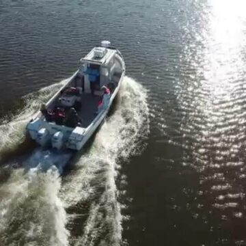 img Aclimatizarea stridiilor în Marea Neagră – Un pas către fermele marine românești