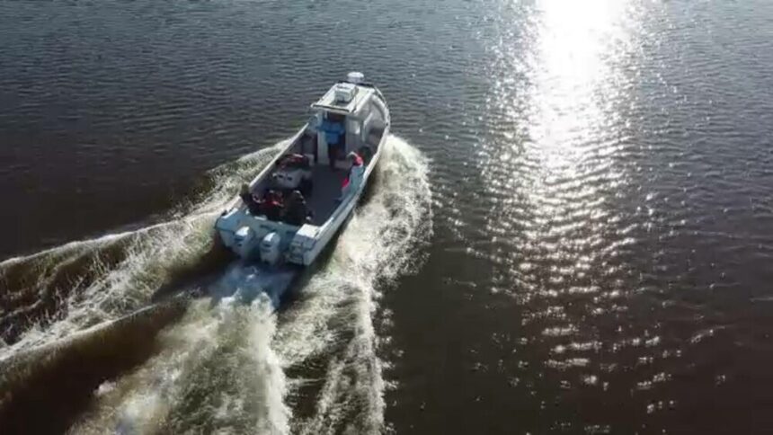 Aclimatizarea stridiilor în Marea Neagră – Un pas către fermele marine românești