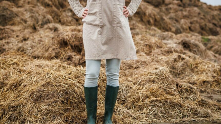 img Excesul de bălegar și dilema fermierilor din Țările de Jos