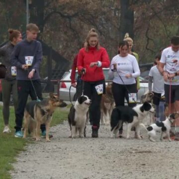 img Cursă inedită într-o pădure din Bistrița. Câinii și stăpânii lor au alergat împreună la „November Run 2024”