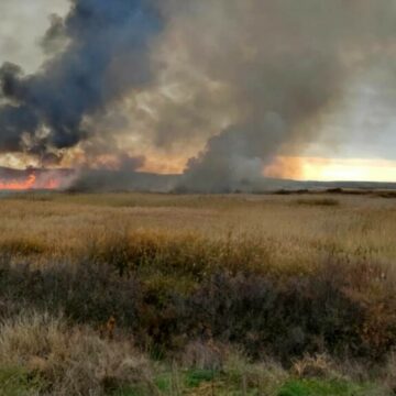 Incendiu uriaș în Delta Neajlovului din Giurgiu