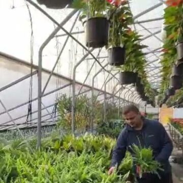 img Evoluția antreprenoriatului în mediul rural din România