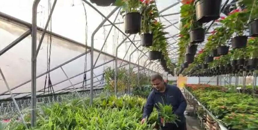 Evoluția antreprenoriatului în mediul rural din România