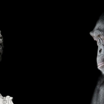 img Legătura dintre Shakespeare, o maimuță și durata de viață a Universului