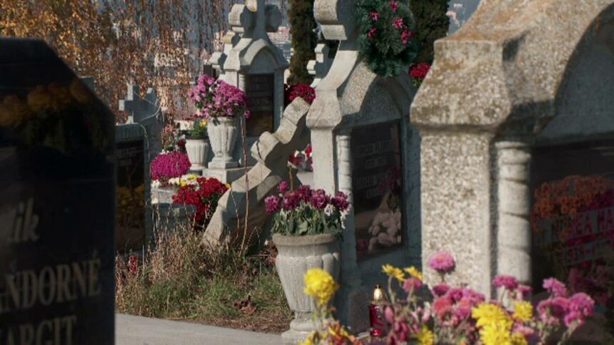 img Accident tragic într-un cimitir din Cluj-Napoca