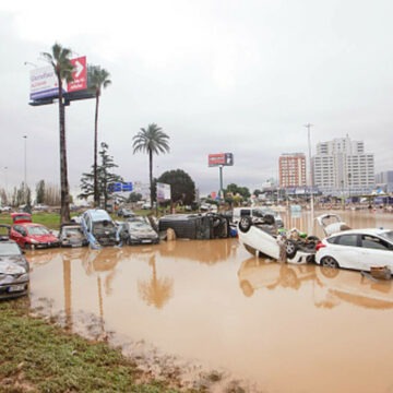 img Un șofer de TIR a salvat o femeie care a stat 11 ore urcată într-un pom, ca să n-o ia apa, în Valencia