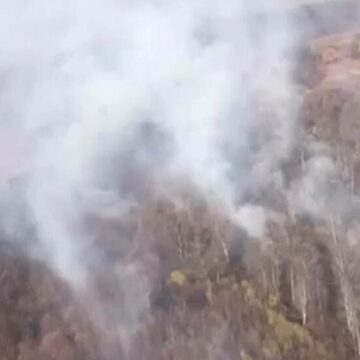 img Incendiile de vegetație din Mehedinți – Intervenție de urgență a unui elicopter