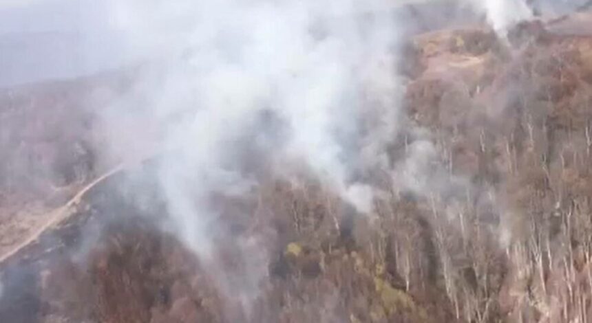 img Incendiile de vegetație din Mehedinți – Intervenție de urgență a unui elicopter