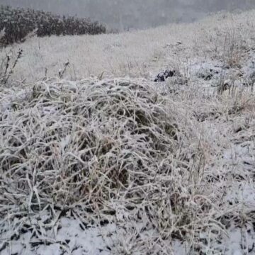 img Atenționare meteo de la ANM: Cod galben pentru ninsori și viscol în unele regiuni ale țării