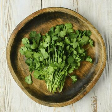Coriandru – Utilizări, beneficii și contraindicații