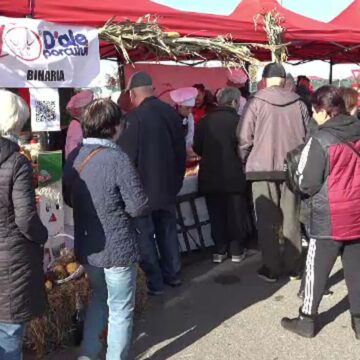 img Festivalul-concurs „D’ale porcului” din Oradea