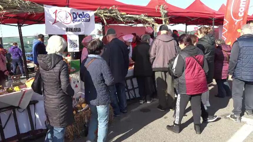 img Festivalul-concurs „D’ale porcului” din Oradea