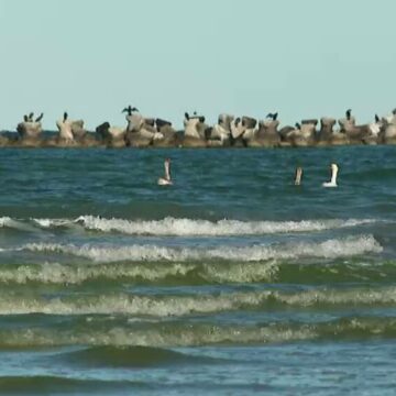 img Cum balizele montate pe litoralul românesc pot ajuta la anticiparea furtunilor