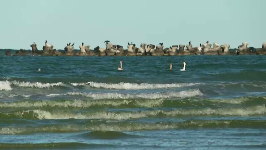 img Cum balizele montate pe litoralul românesc pot ajuta la anticiparea furtunilor