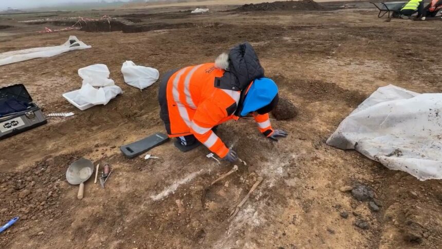 img Descoperirea arheologică de pe șantierul căii ferate Timișoara-Arad