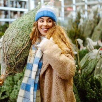 img Brazi de Crăciun – Opțiuni pentru sărbătorile de iarnă